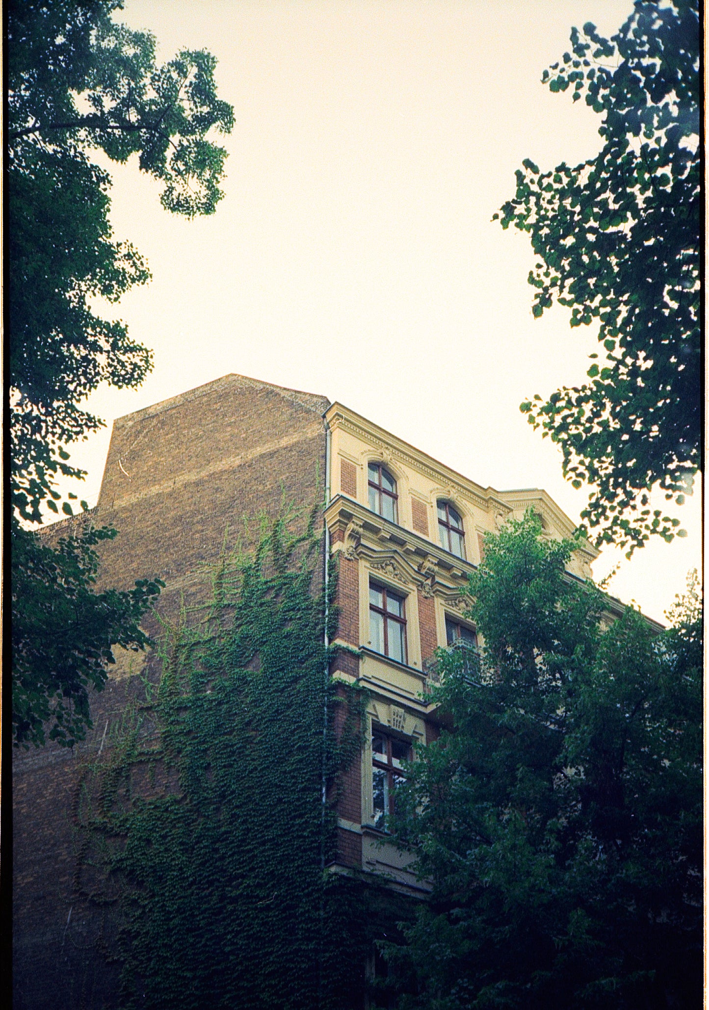 ECN-2 Cinema Film Entwicklung